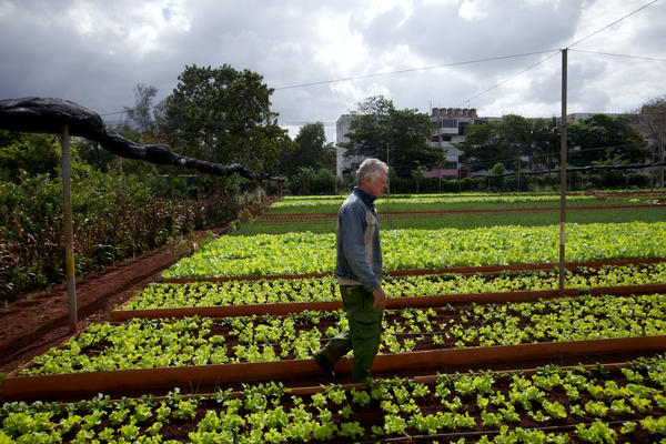 Cuba and Agroecology: A Potential Model For Barbados